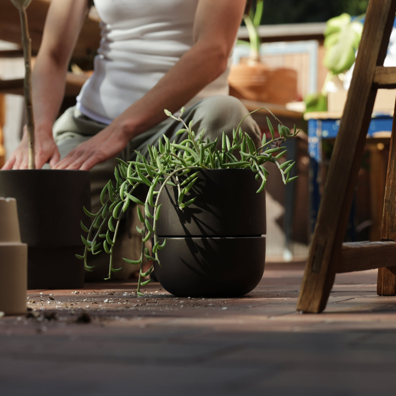 The Planter